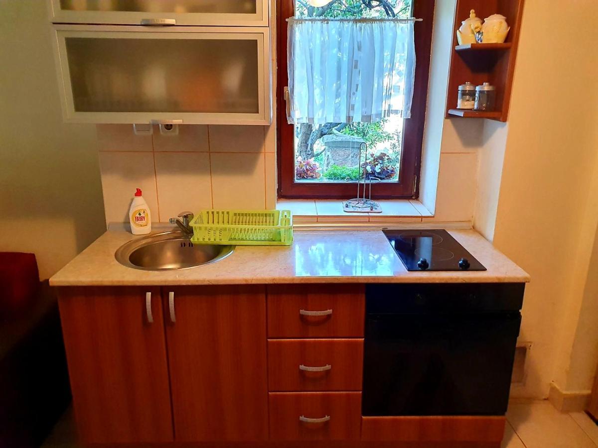 Apartman Sergej 2 Sokobanja Exterior foto